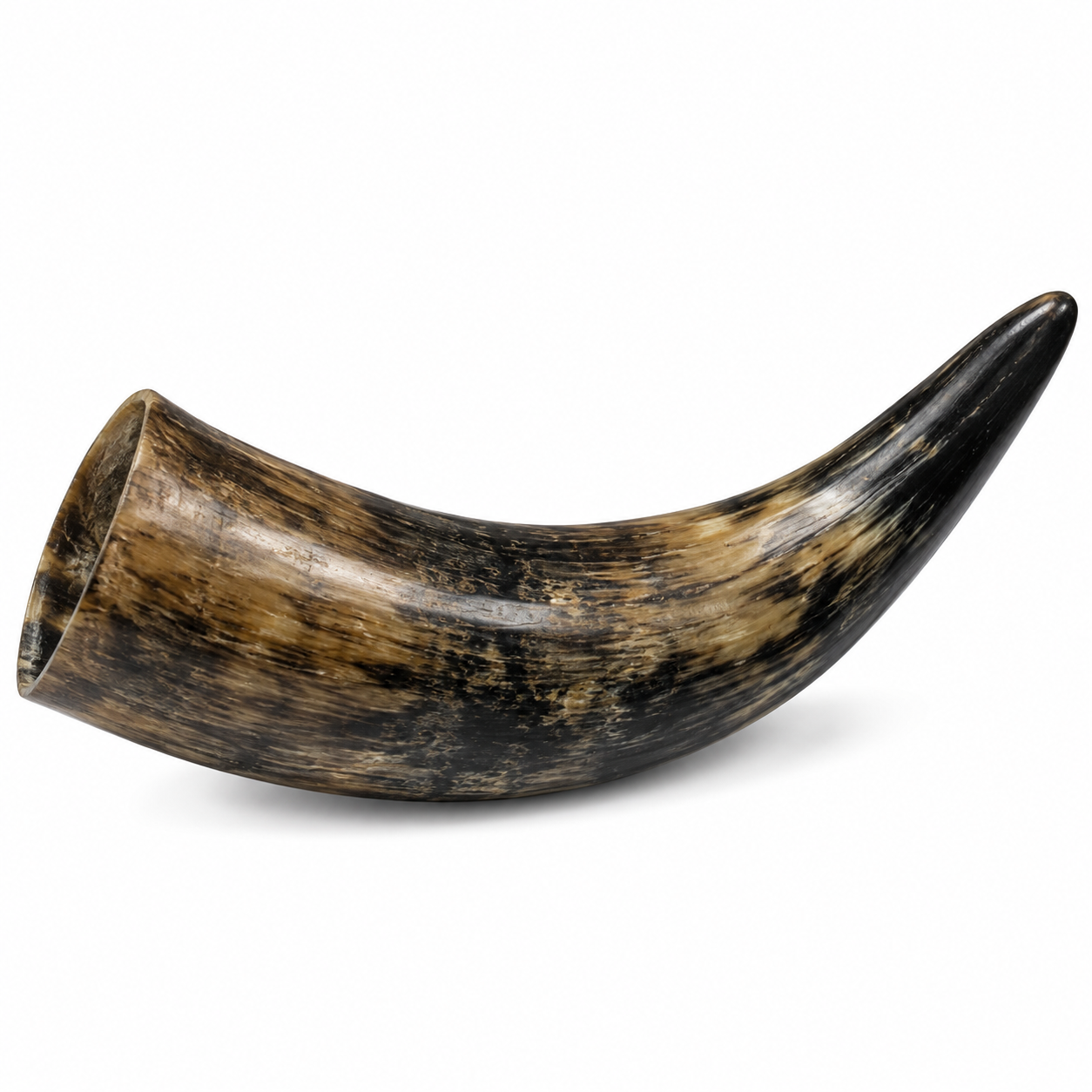 Bovine Horns