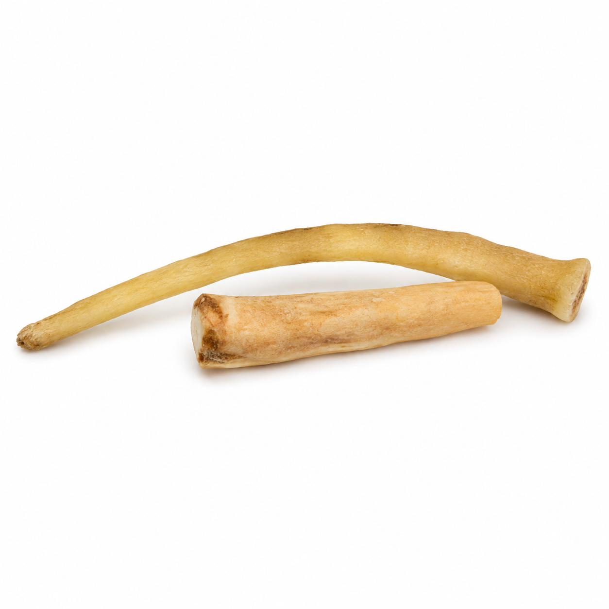 Bovine Tail