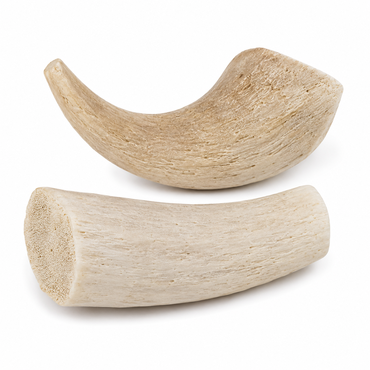 Horn Core