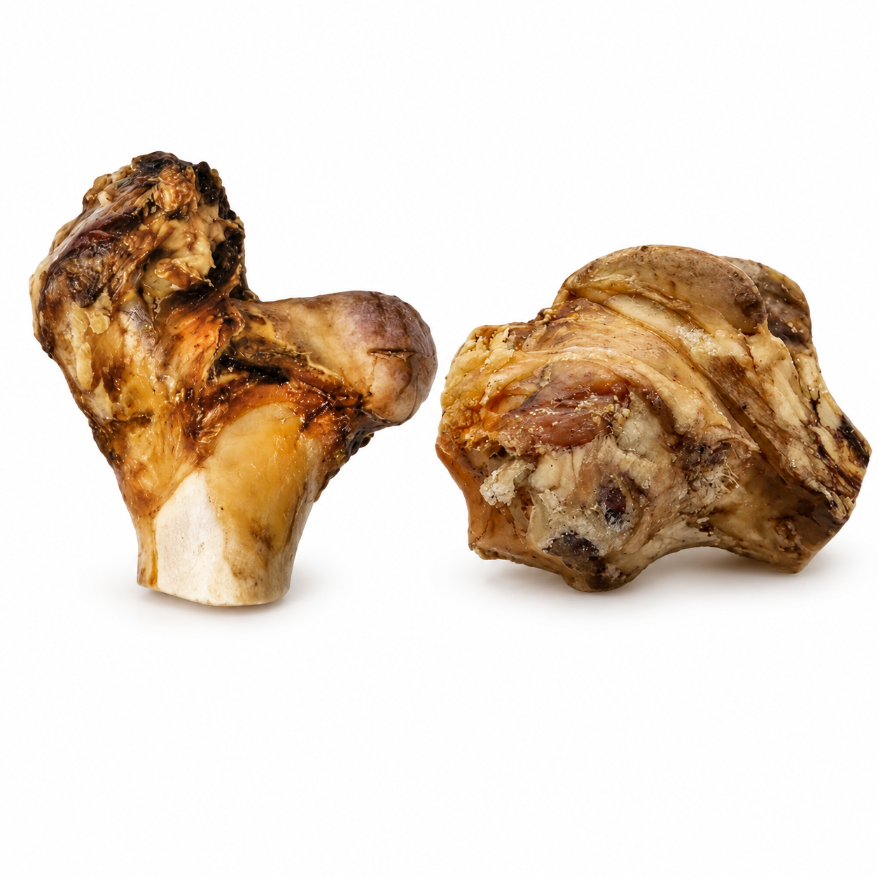 Knee Bone
