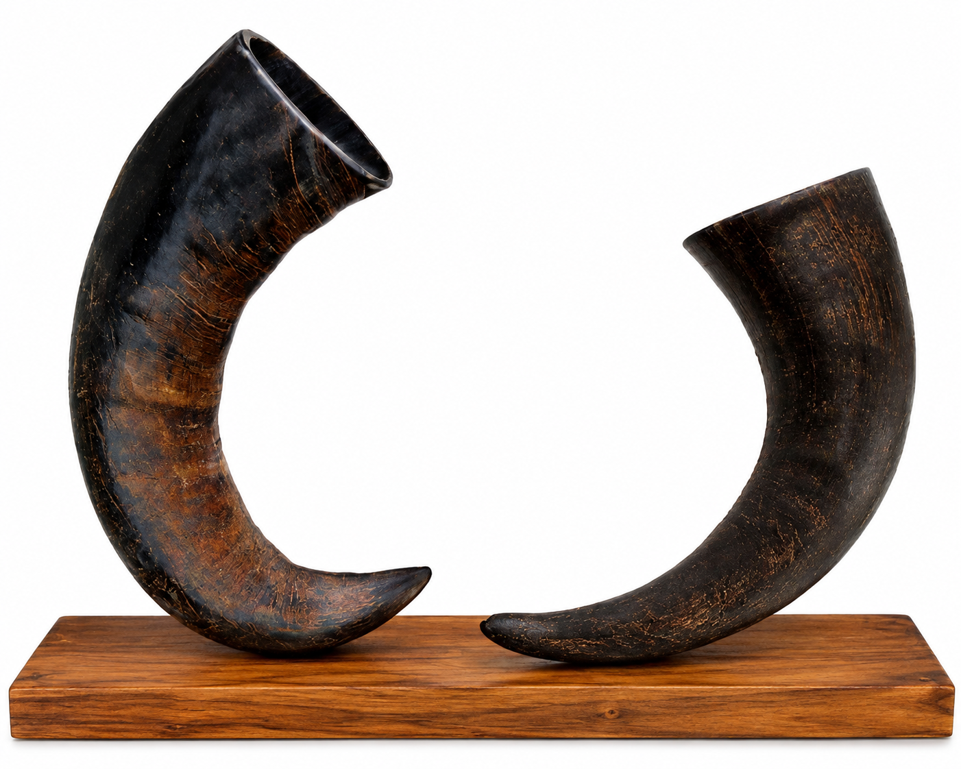 L & J Shape Horns
