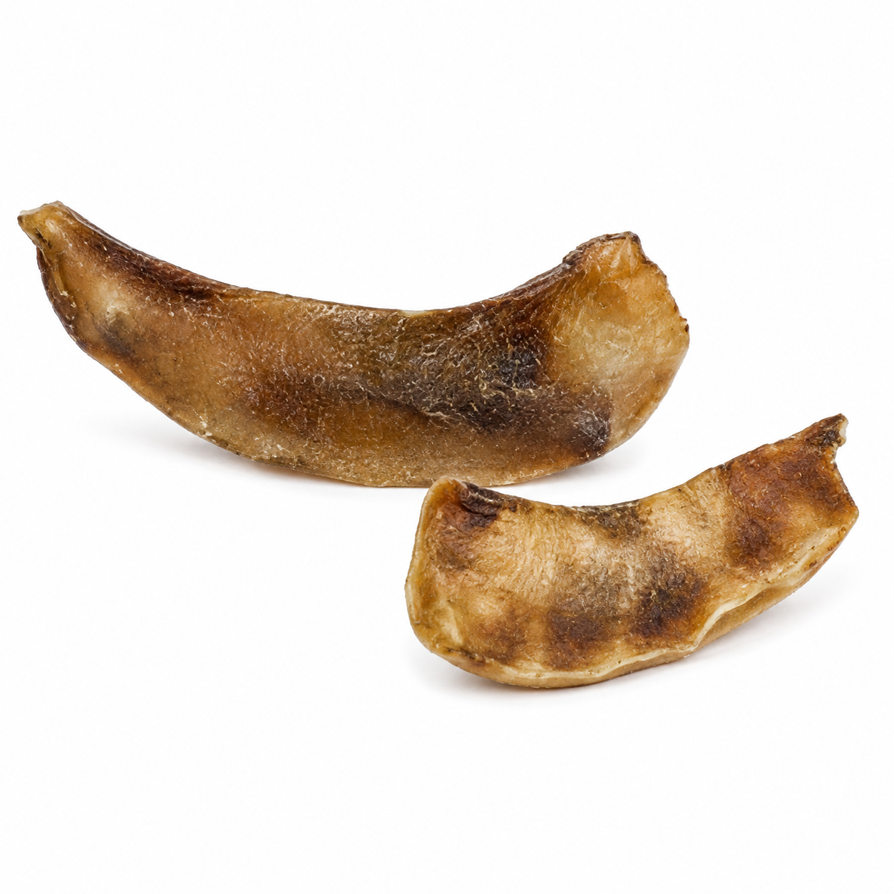 Moon Bone