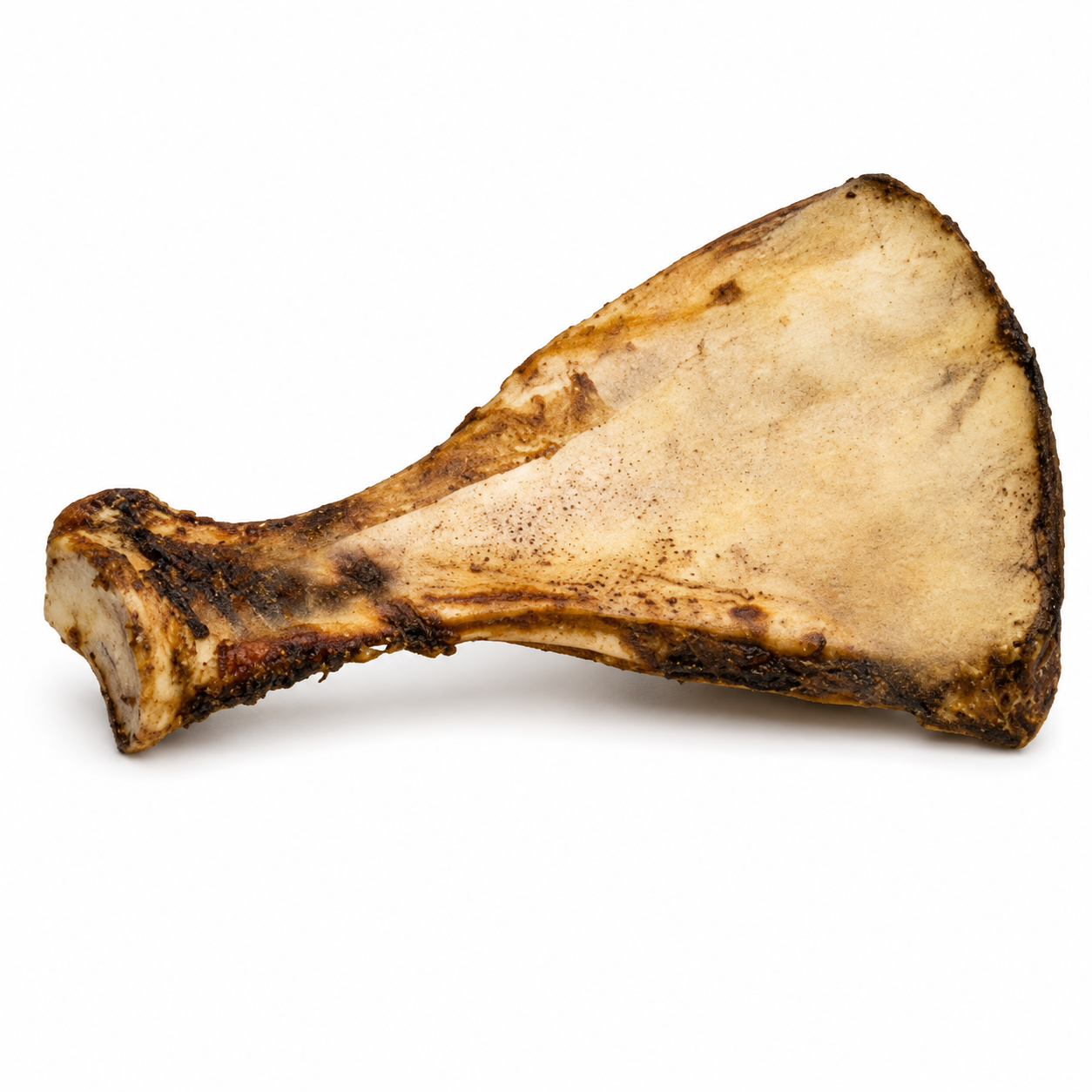 Shoulder Bone
