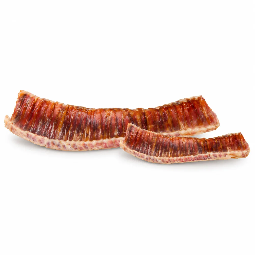 Trachea Half Cut