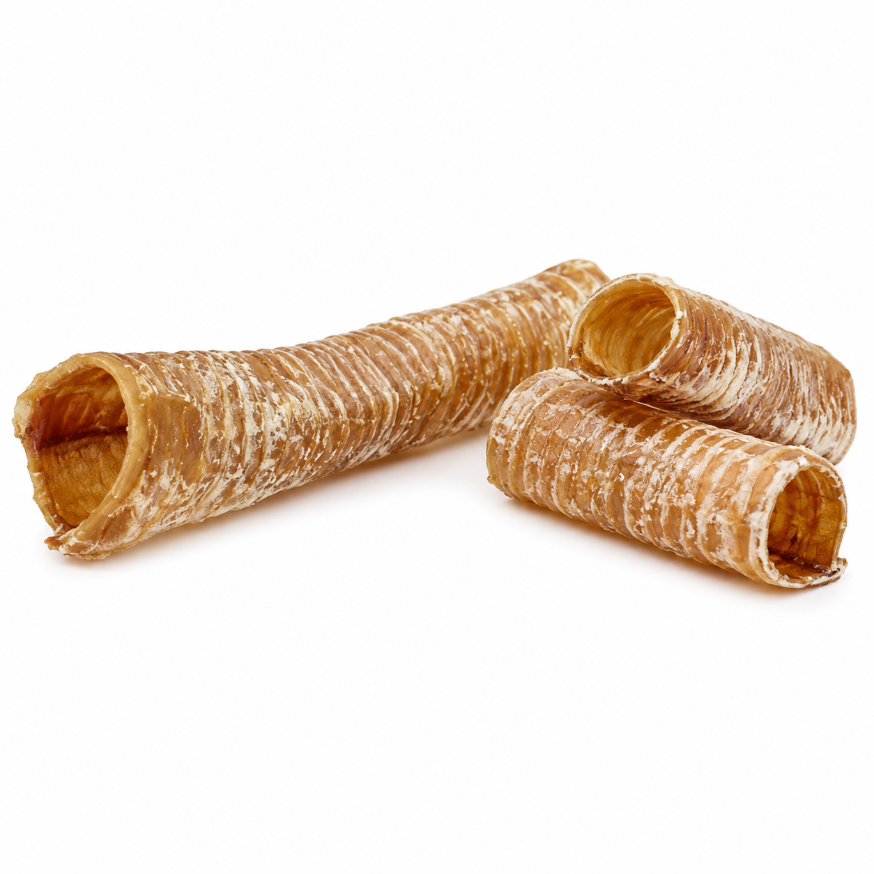 Trachea
