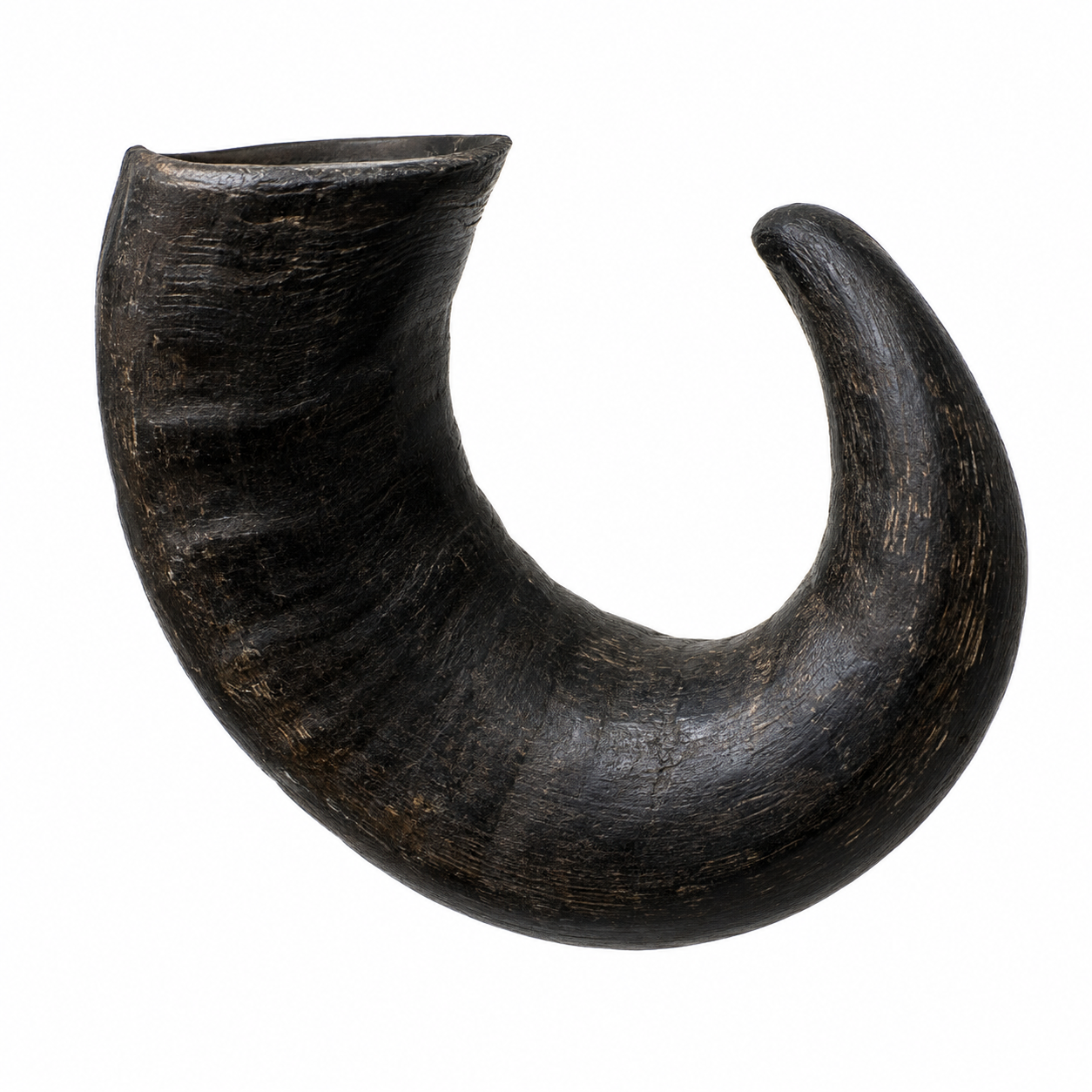 U Curve Horns
